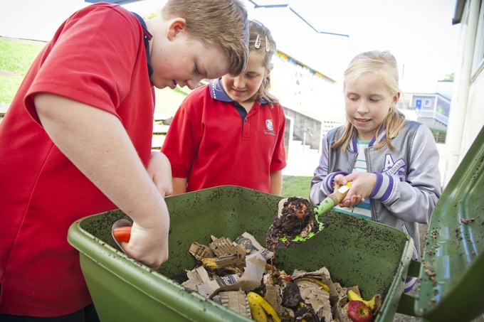 Back to school for hungry worms