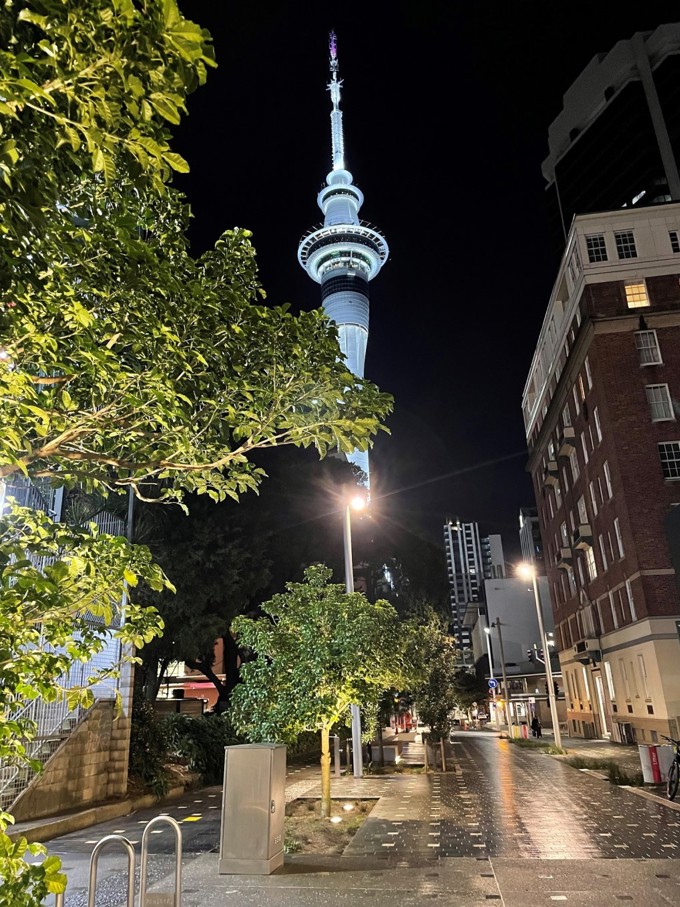 Federal Street Leafy Lane