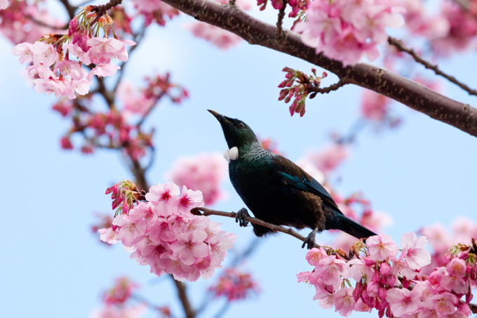 Planning on doing some planting in spring 1