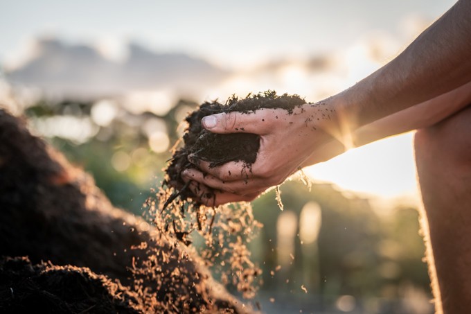 Waitakere Mulch Image 1
