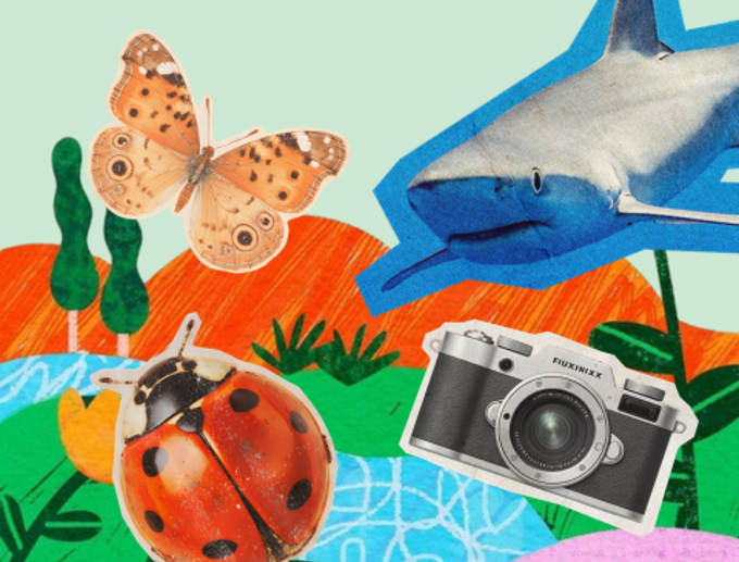 April_School_Holiday_Our_Auckland_Banner _mkrlzloq.png