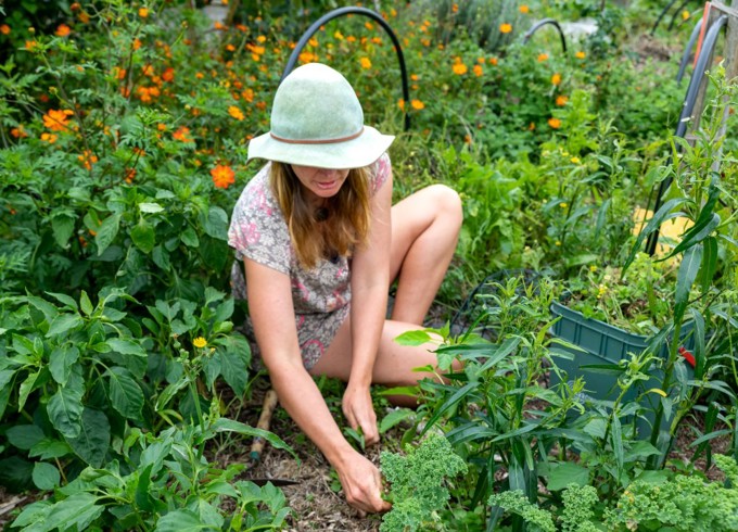 Aotea / Great Barrier Island local board plan