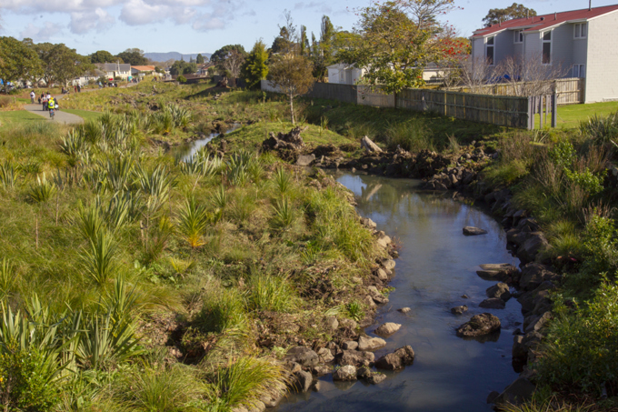 Curbing pest plant and animals gets a boost in Albert-Eden