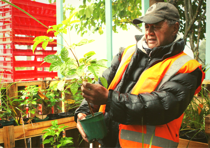 Upcycling initiative goes from strength to strength