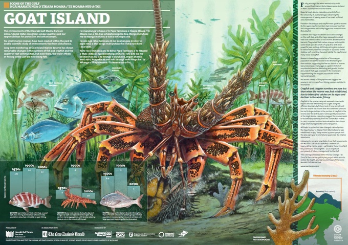 Celebrating the wonders of our gulf 3