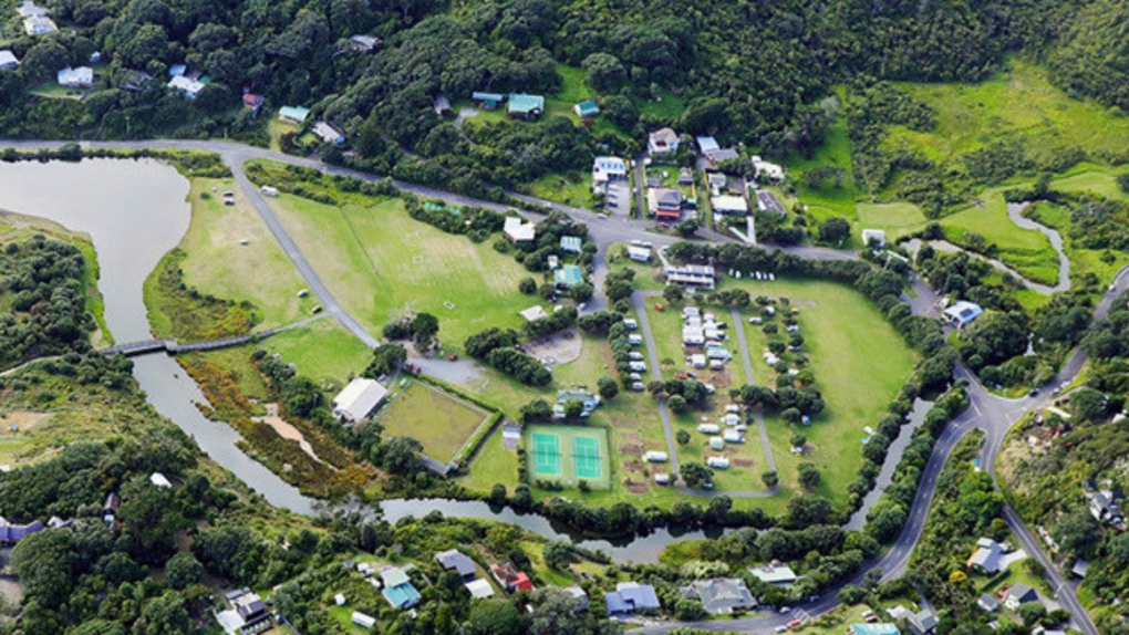 Piha Domain Wetland OA