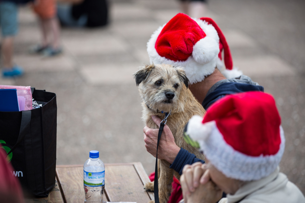 Santa