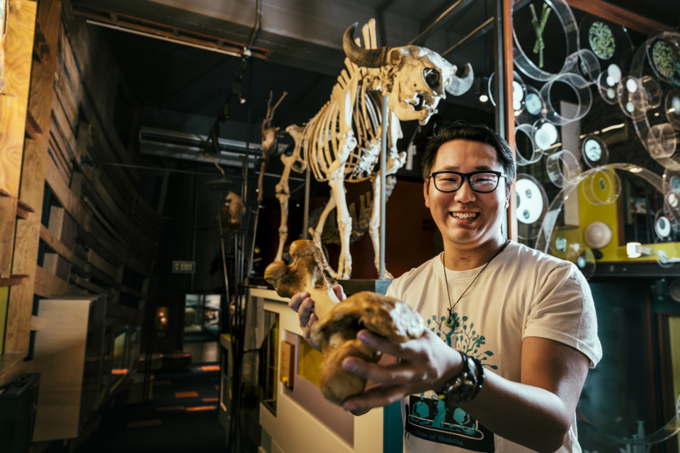 What's it like to work at Auckland Museum?