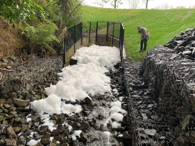 Pollution prevention in Rosedale