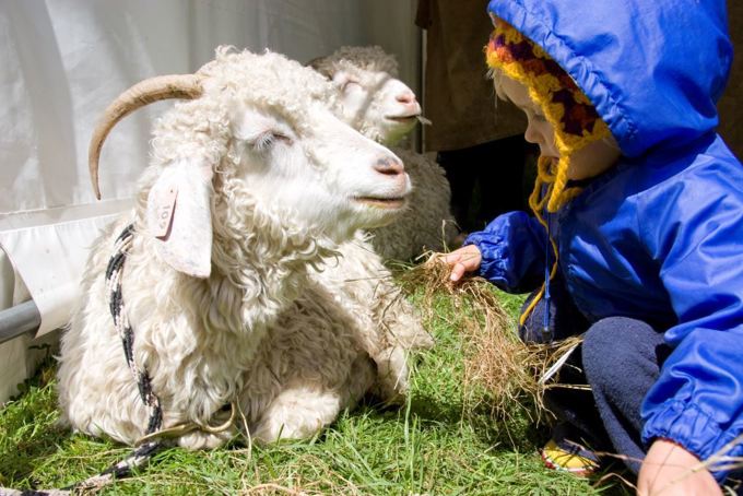 Ambury Park_small.jpg