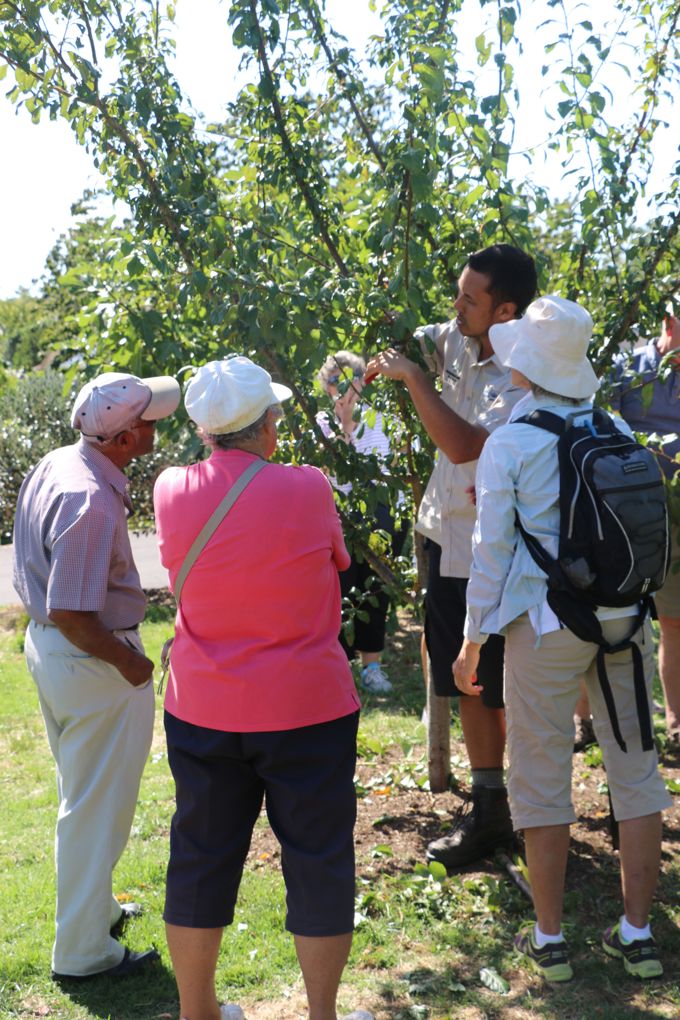 Jeff discussing fruit tree pruning with workshop attendees - Copy_hijszy50.JPG