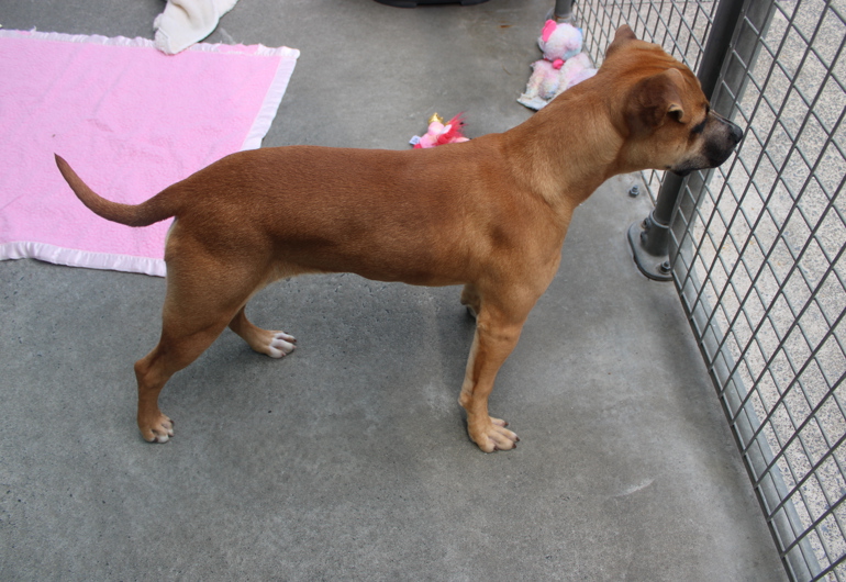 IMG 4279
