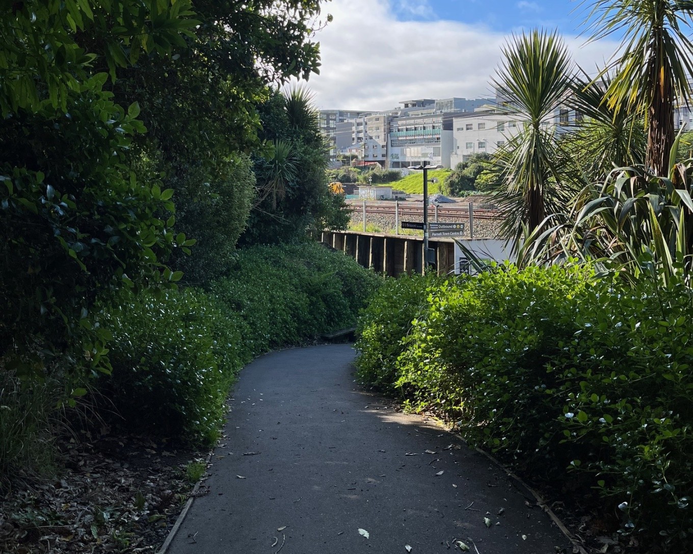 Parnell Train Station path. 
