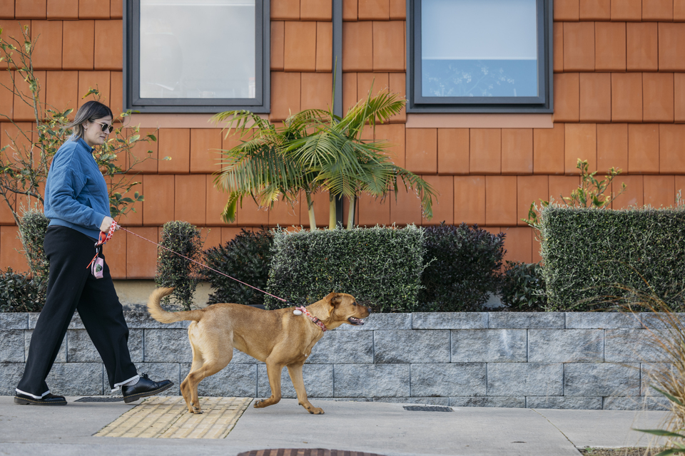 Lady walking dog on leash along footpath in residential area