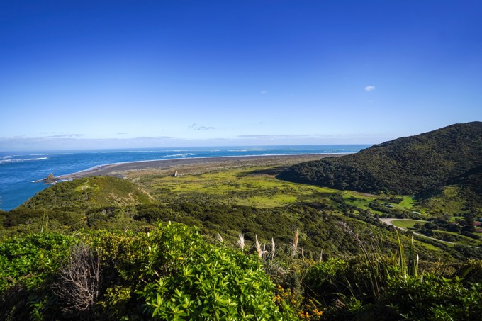 Ōmanawanui Track Scenic Shot