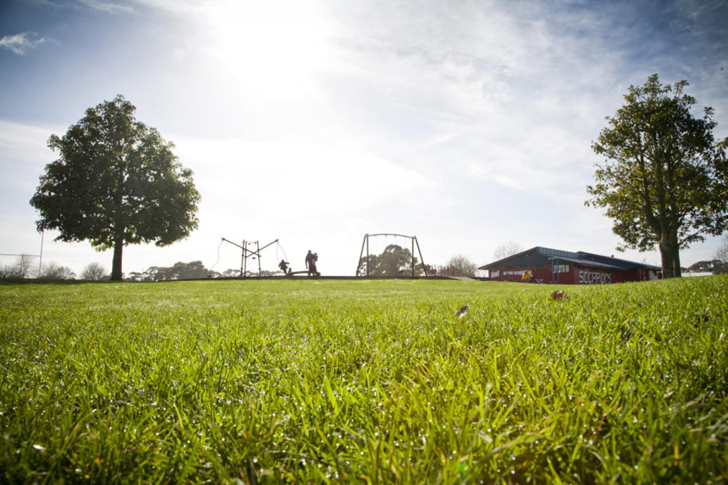Ngāti Ōtara park