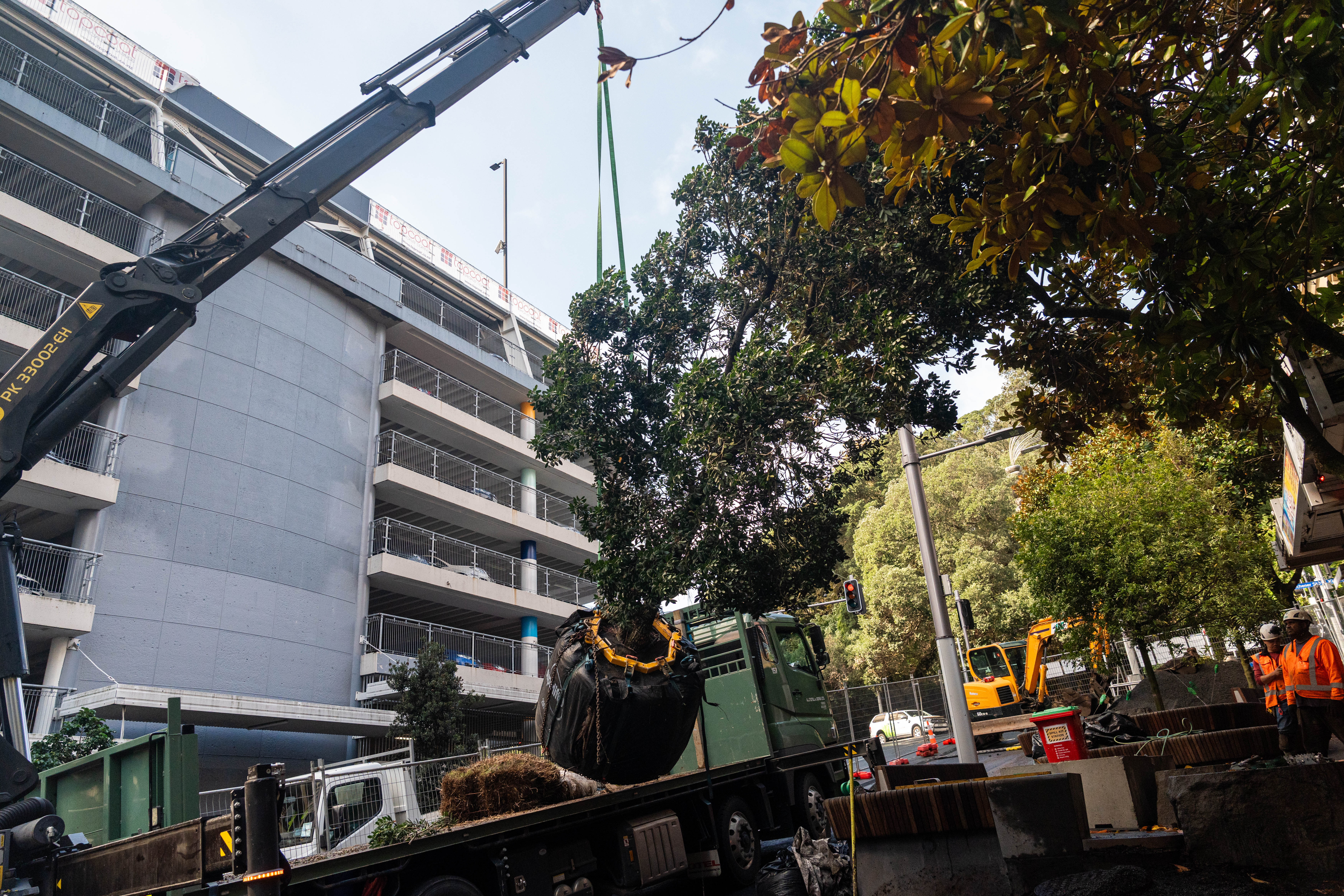 Lorne Street Tree Lift.