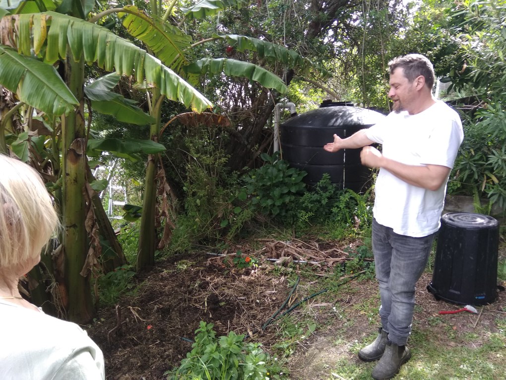 WMIF banana swale 2