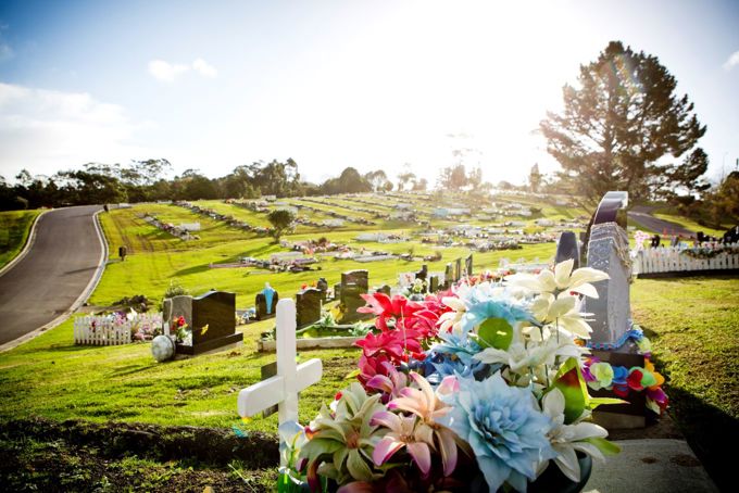 Waikumete Cemetery image