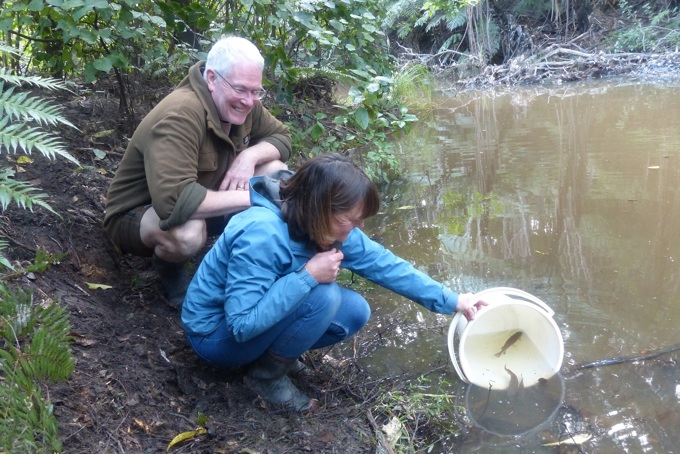 Mayoral Conservation Awards_Release of Giant Kokopu 2.jpg