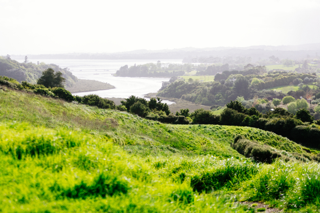 Local efforts toward a pest-free community