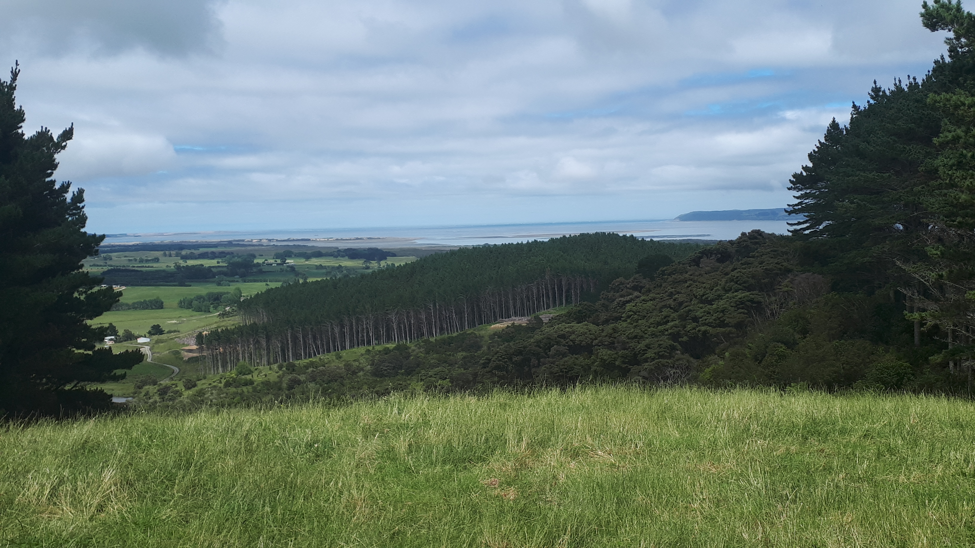 Views from Whakahuranga Pā looking towards Manukapua Island.