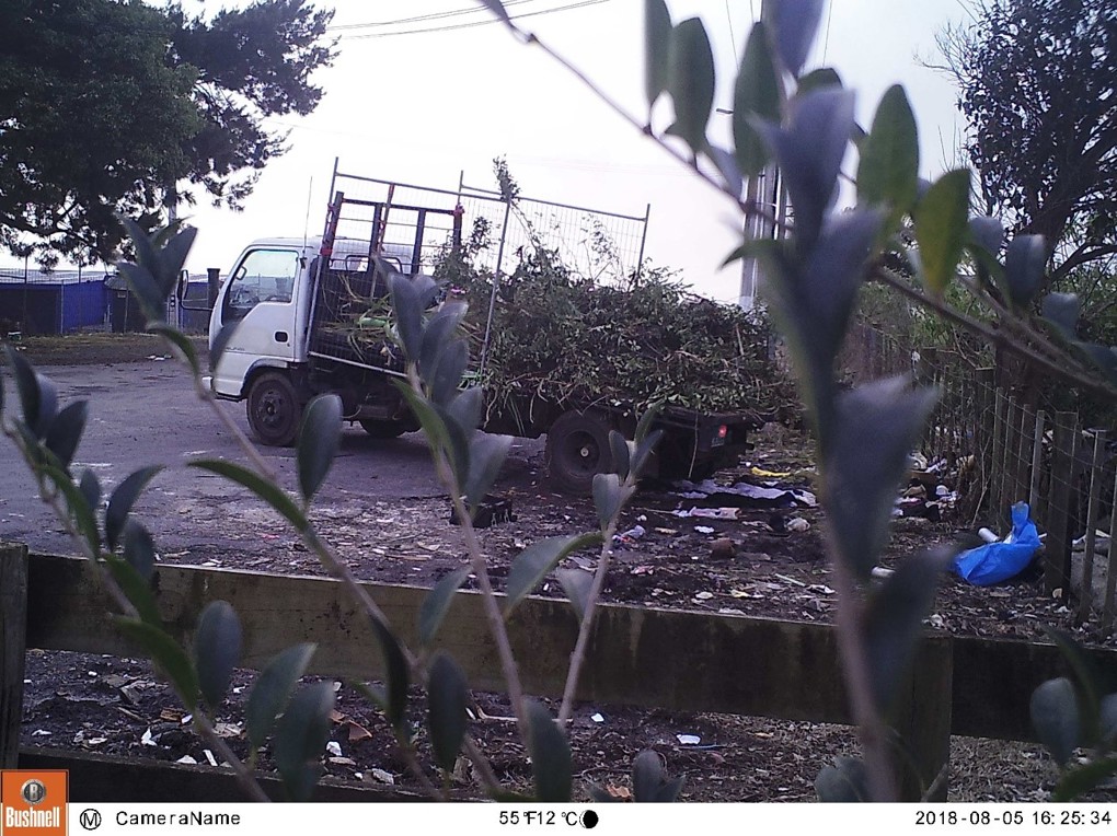 Mayor Goff calls for harsher penalties for illegal dumpers