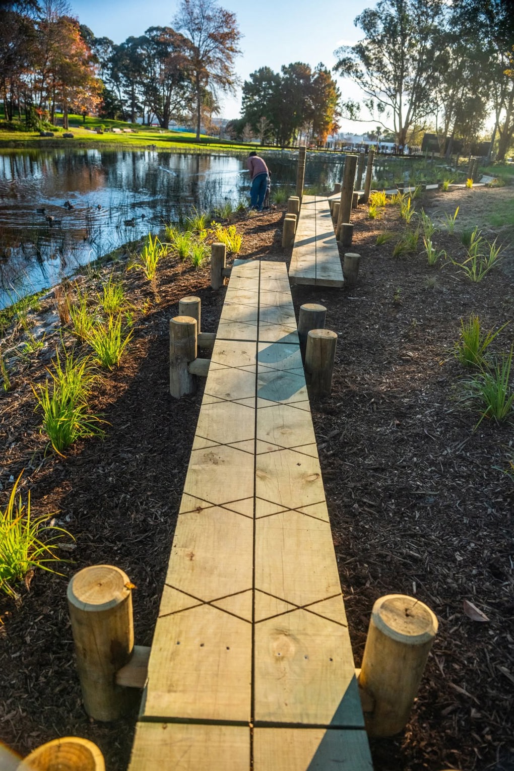 Manukau Noa Iho Wetlands 2