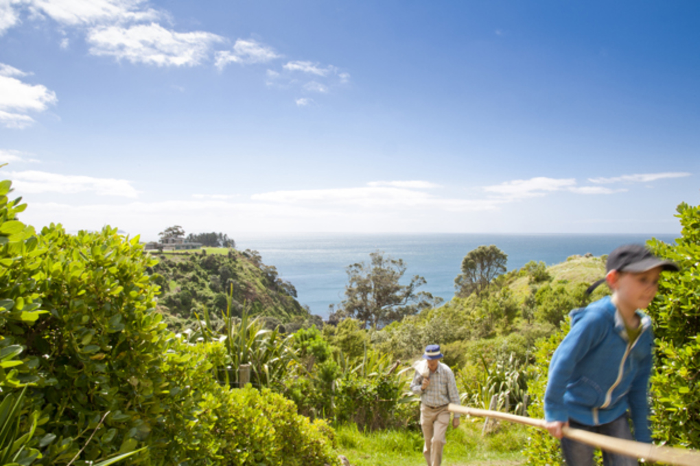5 walks we love