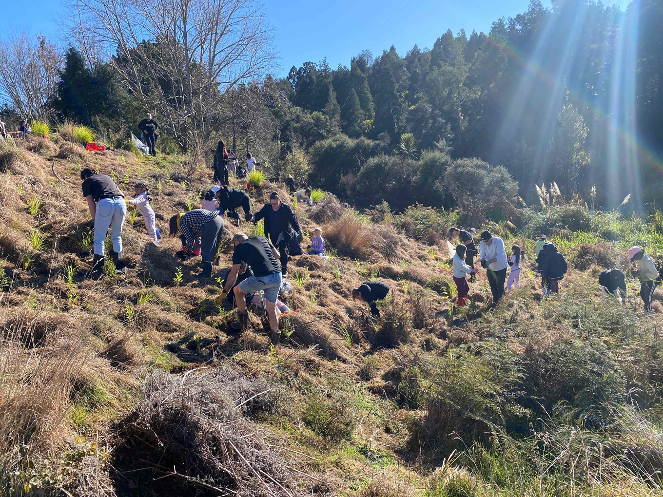 Albany Primary School students planting trees.
