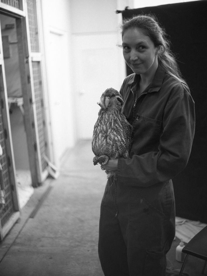 Critical work by passionate zoo staff helping to keep kakapo alive