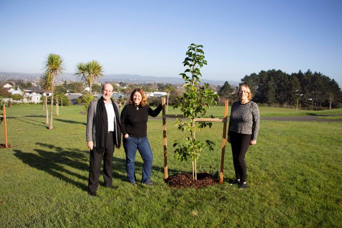 Future Giants of Albert Eden