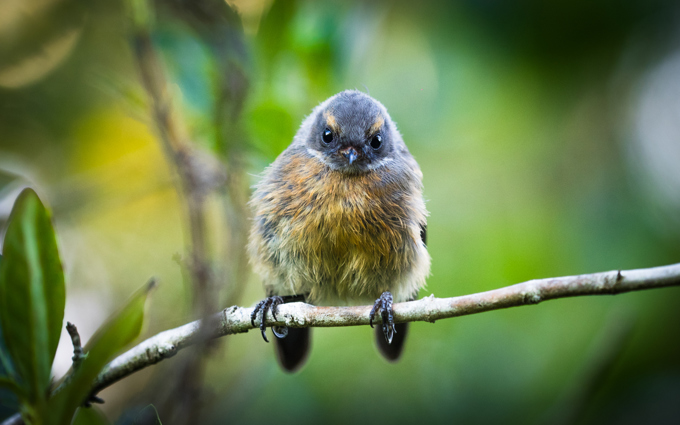 Kaipatiki photo competition (2)