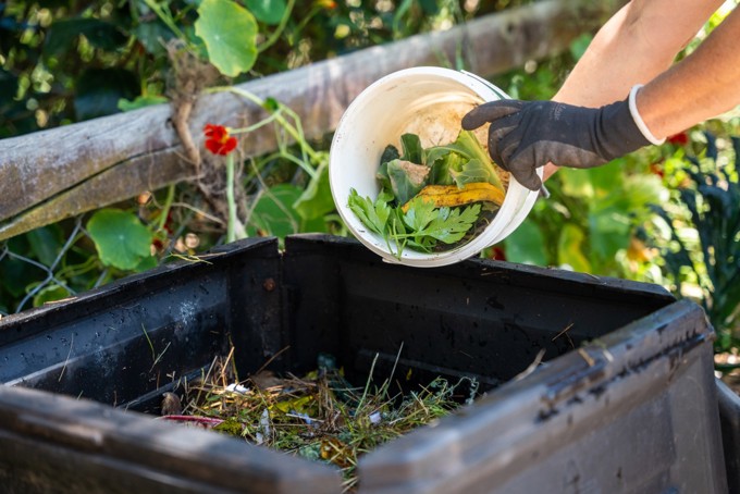 Composting Image
