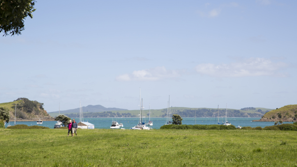 Island area plans to open for feedback early 2020