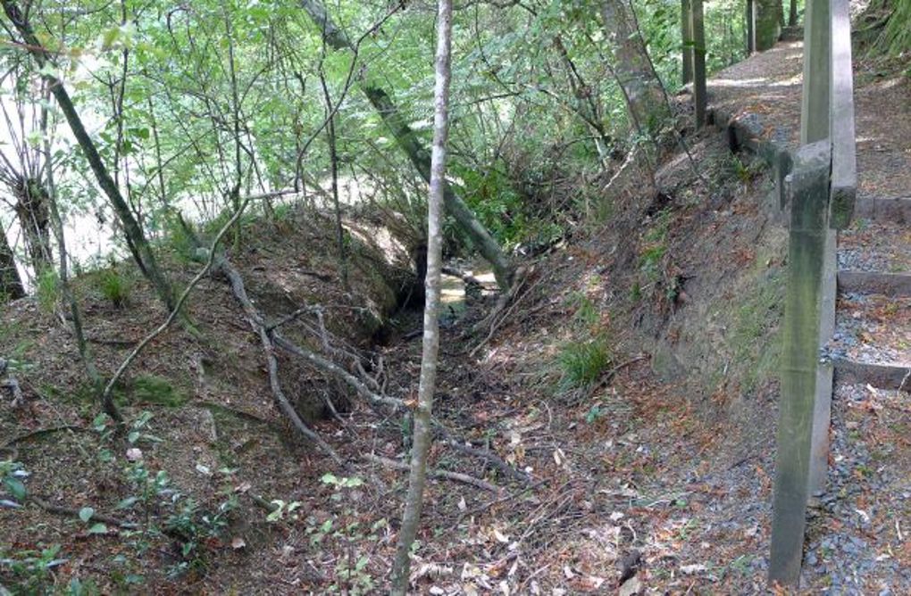 More of Warkworth’s history uncovered