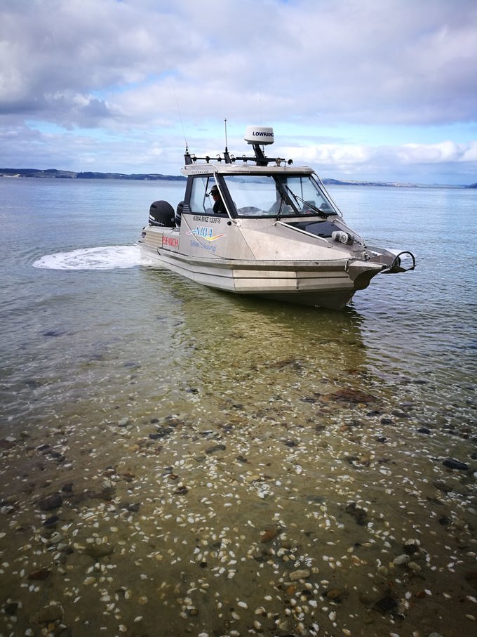 Harbour marine survey 1