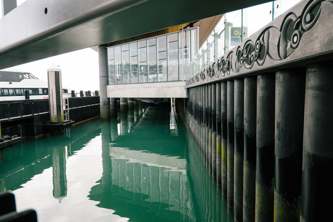 Te Ngau O Horotiu 2 25 June Photo Credit Auckland Council