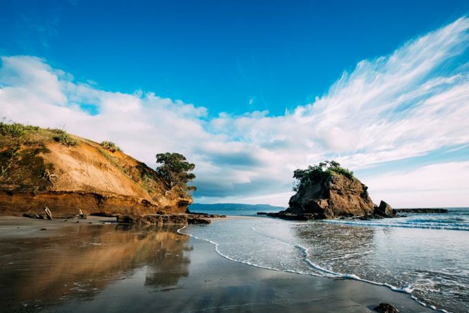 Tawharanui Beach