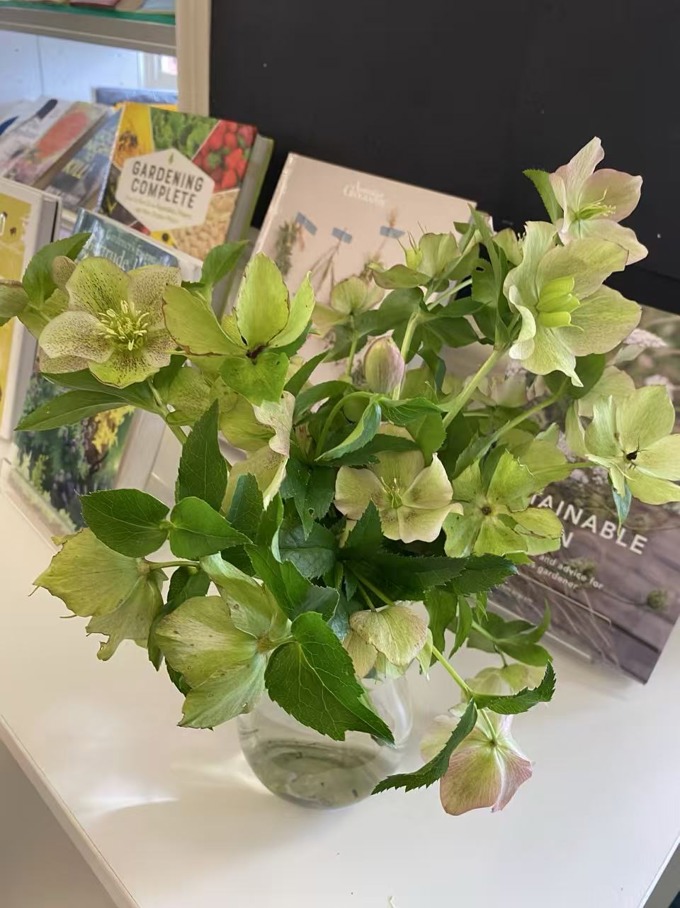 event photo_qkh0bsul.jpeg