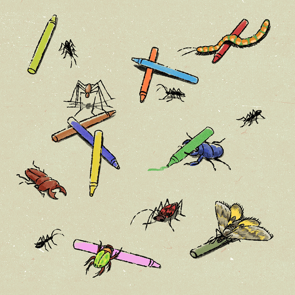 studio_one_square_web_xonytsfq.png