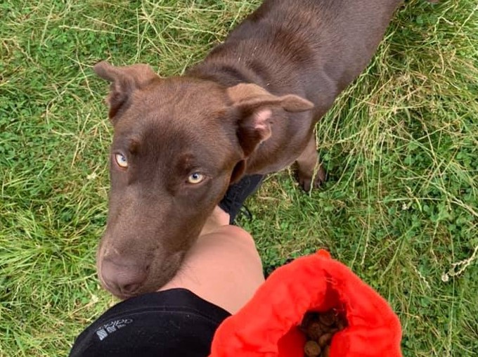 Meg finds her forever home down south