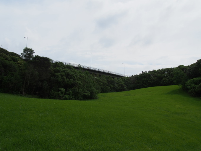 Ian McKinnon Drive Cycleway construction begins (1)
