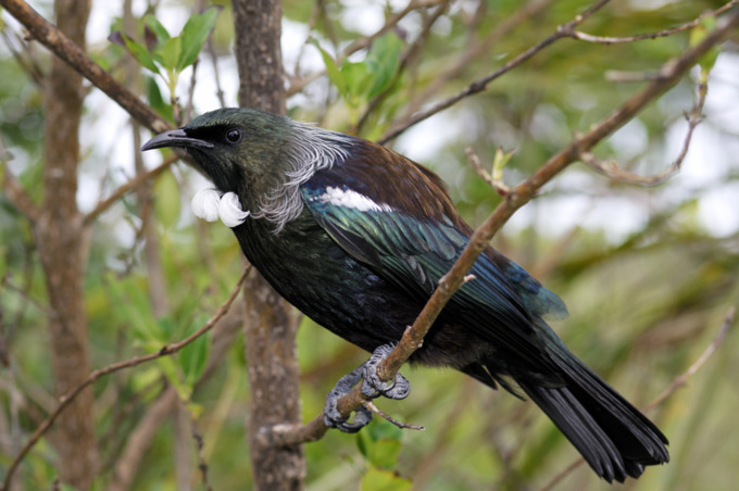 101 park must-dos (8)