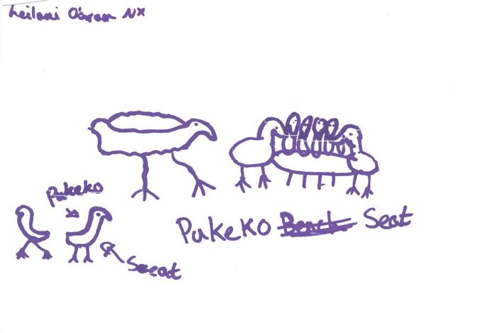 Sherwood Reserve_Pukekohe Seat.JPG