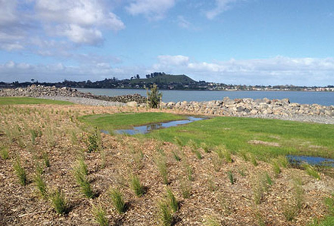 Landscape takes shape at Onehunga foreshore