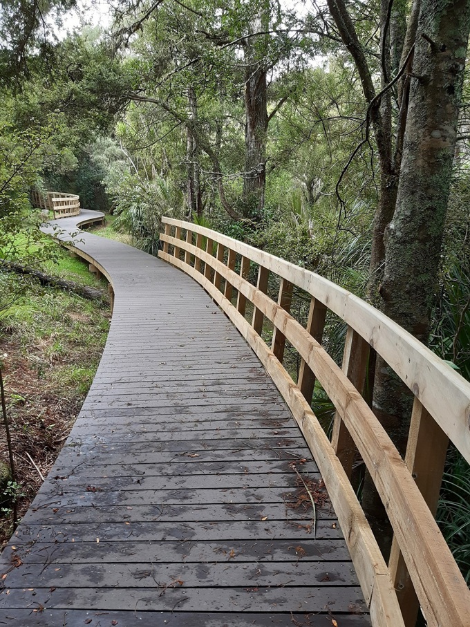 Next steps for kauri tracks in Rodney1