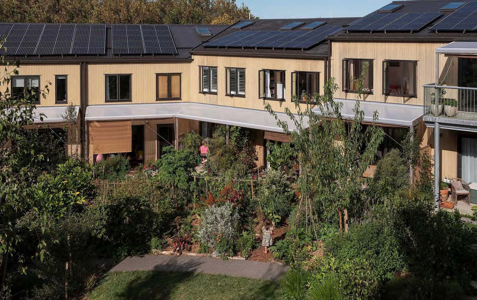 Shared gardens of the Cohaus Grey Lynn development.