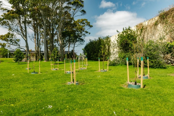 Parks In The Hood Image 4