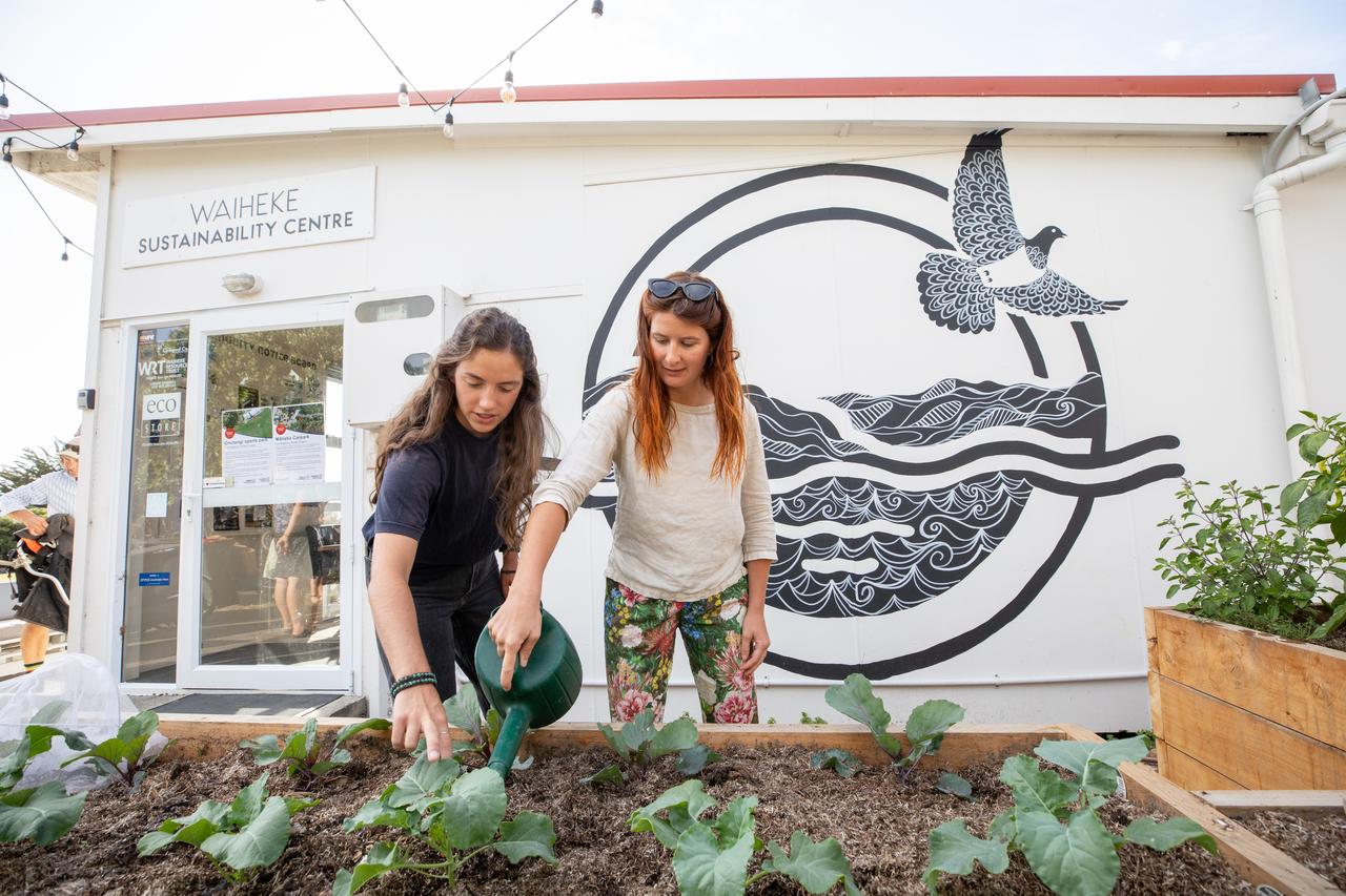 Waiheke Sustainability Centre community garden. 